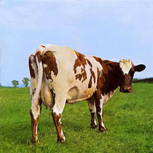 Pink_Floyd-Atom_Heart_Mothe.jpg